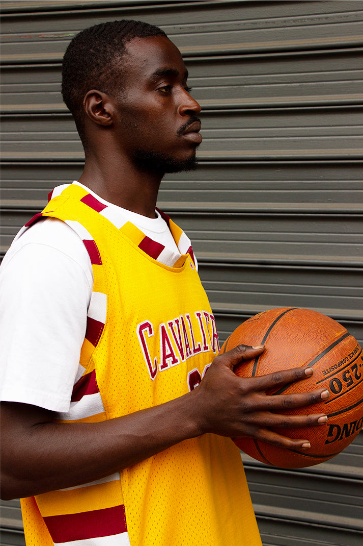 LeBron James Cleveland Cavaliers Jersey