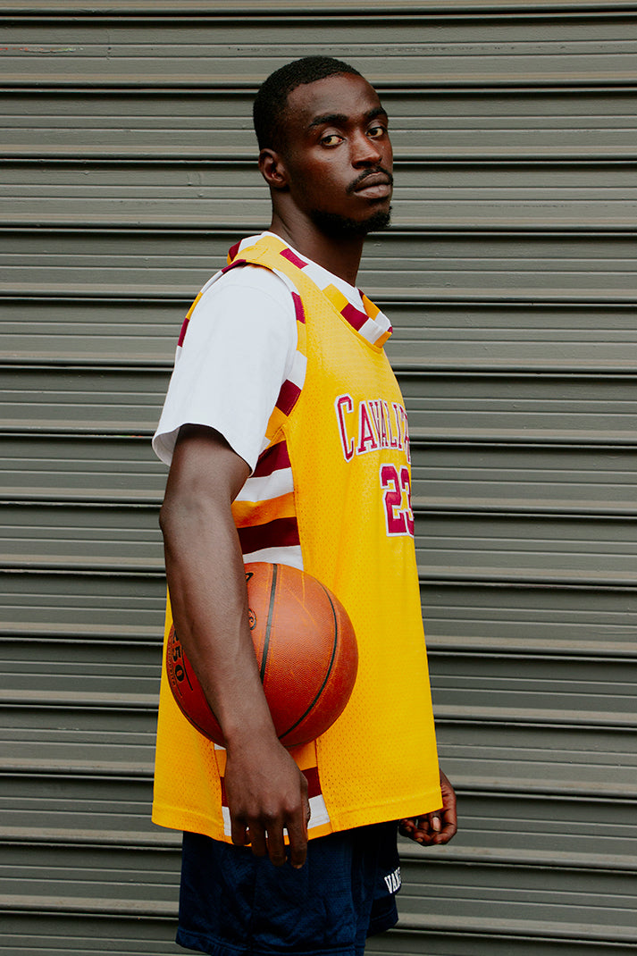 LeBron James Cleveland Cavaliers Jersey
