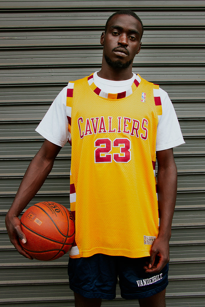 LeBron James Cleveland Cavaliers Jersey
