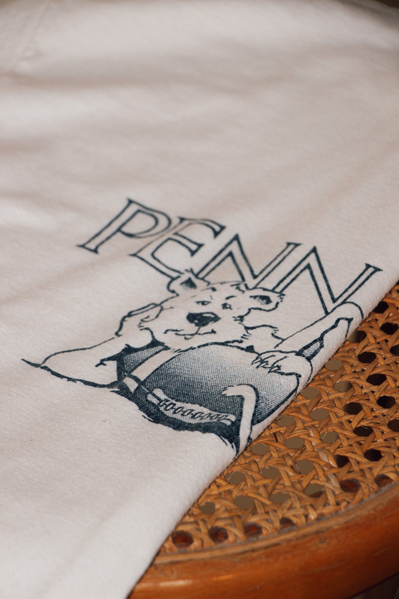 T-shirt Penn State University Single Stitch